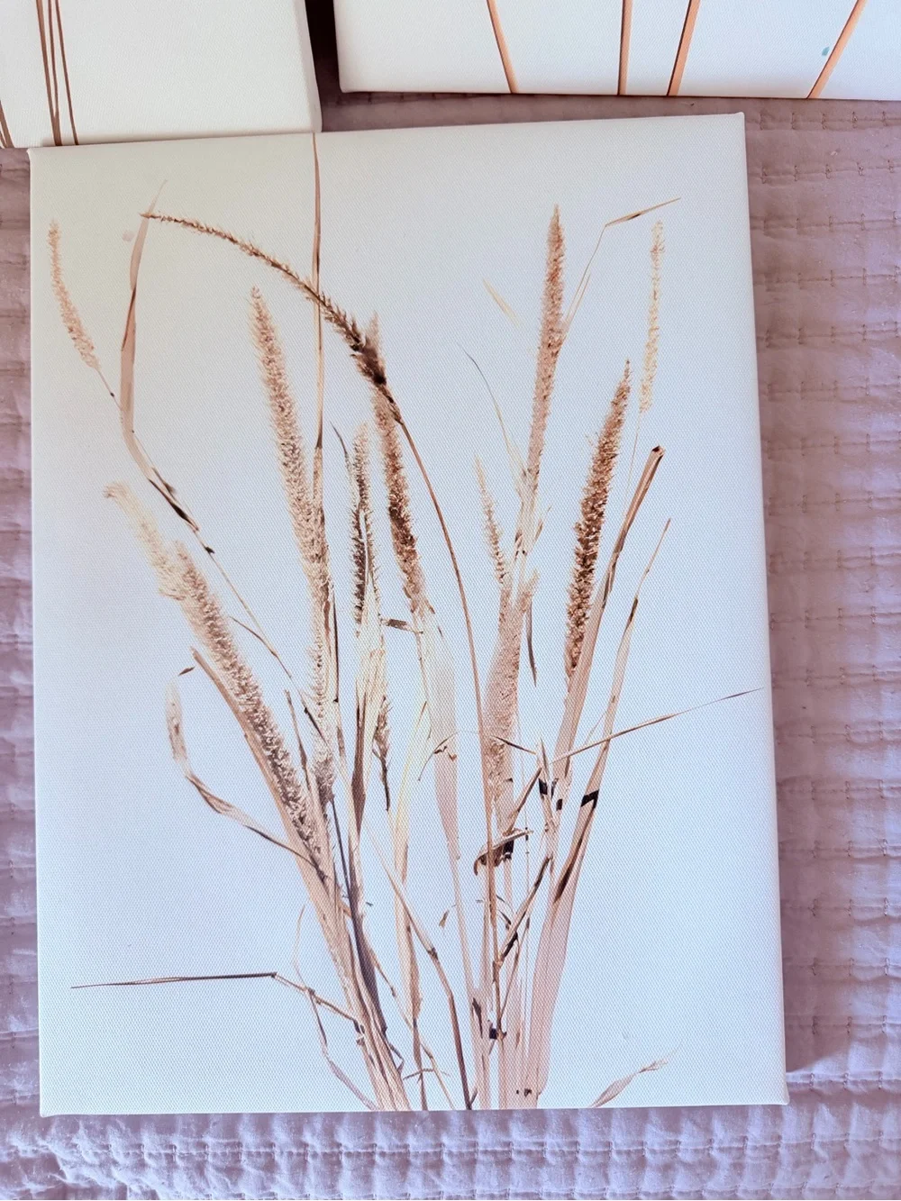 Beige Neutral Botanical Wall Art Set of 3 Framed Boho Neutral Plant Prints 12x16